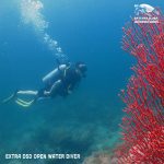 Discover Scuba Extra Open water Dive Pattaya Thailand
