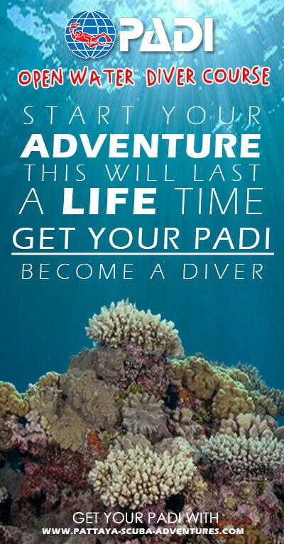 Pattaya PADI Open Water Course Thailand