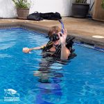 Learn to dive in pattaya Thailand PADI Dive Course