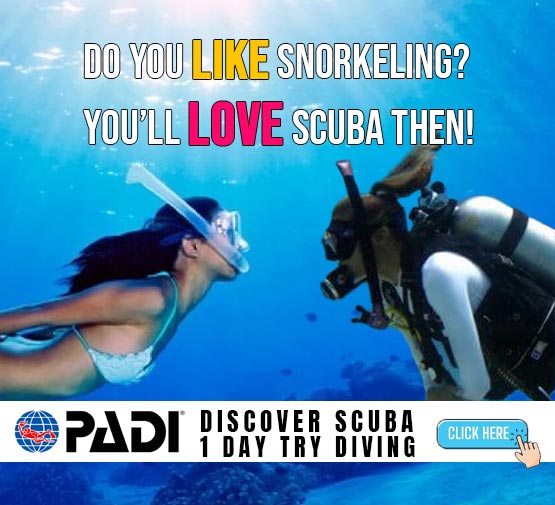 Like Snorkelling try scuba