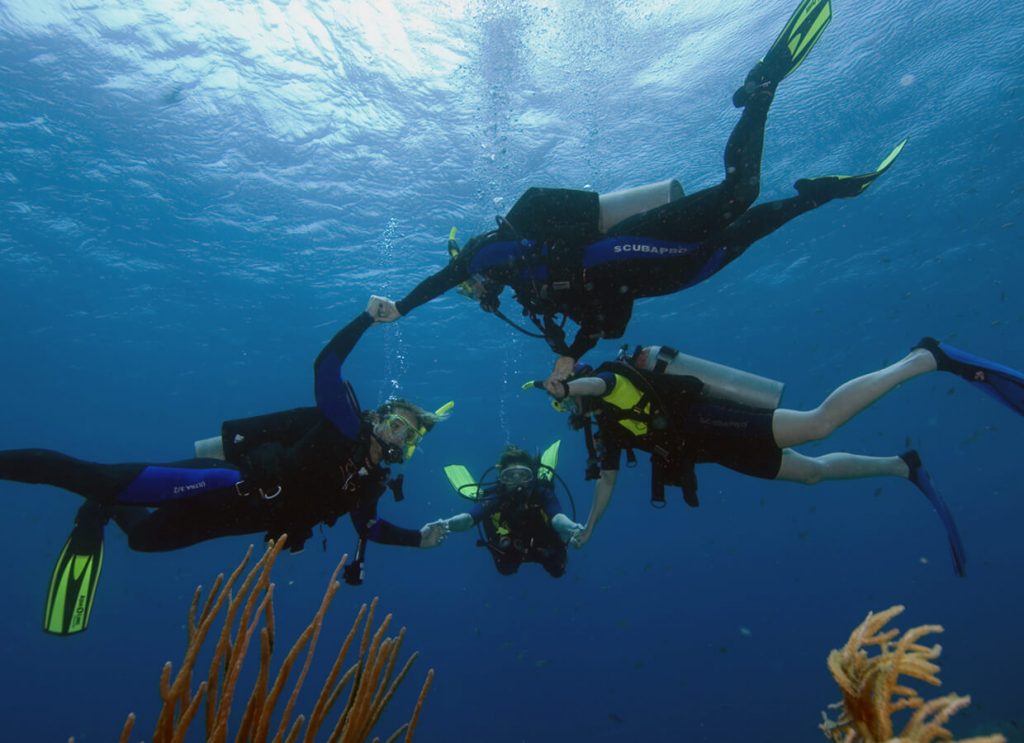 PADI Master Diver and Divemaster Internships Thailand