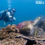 PADI Open Water Course learn to dive Thailand