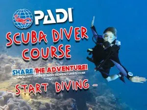 PADI SCUBA DIVER COURSE PATTAYA