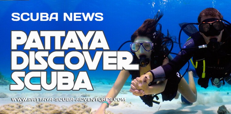 Pattaya DIscover Scuba Diving