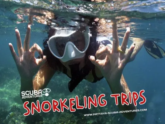 Snorkeling in Pattaya Thailand