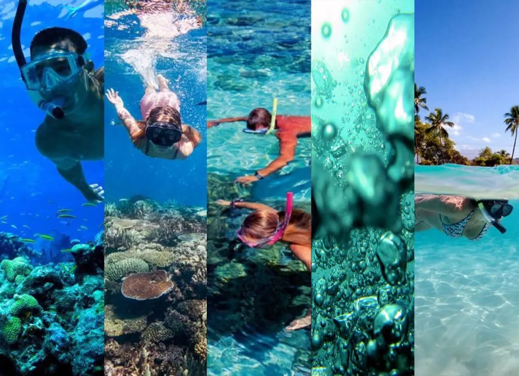 Snorkeling in pattaya Snorkel trips