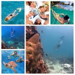 Pattaya Snorkeling Trips Thailand Adventures