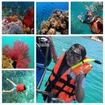 Pattaya Snorkeling Trips Thailand Adventure Tours