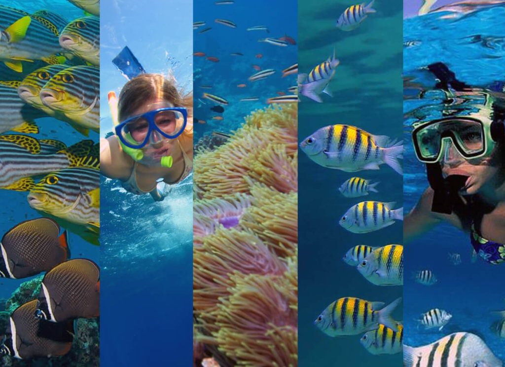 Snorkeling In Pattaya Thailand