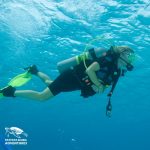 Come Nitrox Dive With Pattaya Scuba Adventures