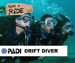 PADI Drift Diver Course