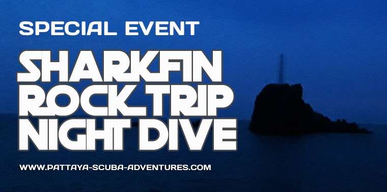 Shark Fin Rock Night Dive Pattaya Scuba Adventures