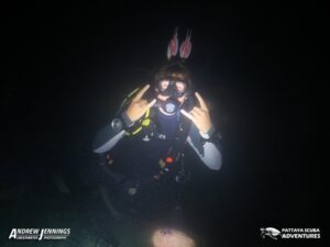 Divemaster Shark fin Rock Night Diving Pattaya Thailand