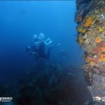Deep Diving Pattaya Thailand