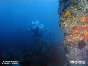 Deep Diving Pattaya Thailand