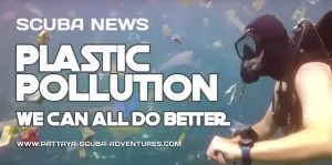 Ocean Plastic Pollution we can all do better