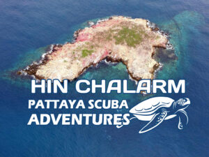 Hin Chalarm Dive Pattaya Scuba Adventures