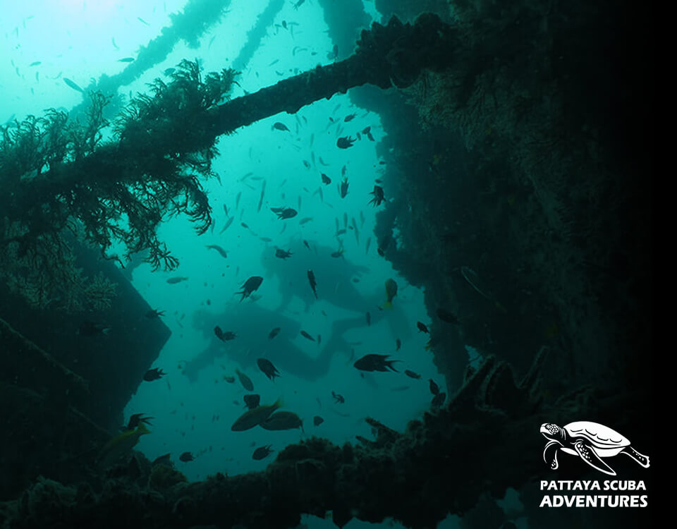 Wreck Diving Pattaya Thailand Shipwreck