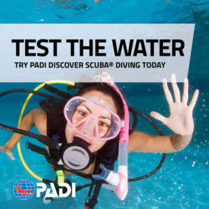 DSD Discover Scuba Try Diving Pattaya Try Dives Thailand