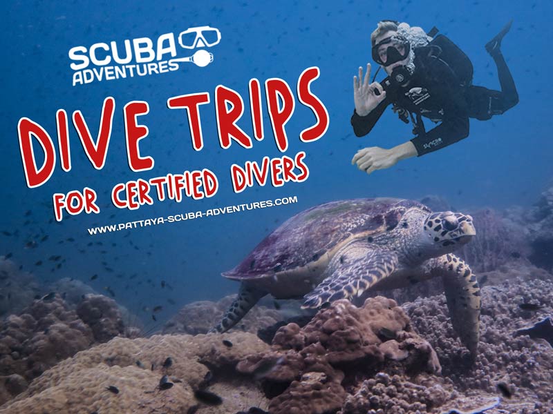 Dive Trip (2 Dives 1 Day) Diving Thailand With Scuba Adventures
