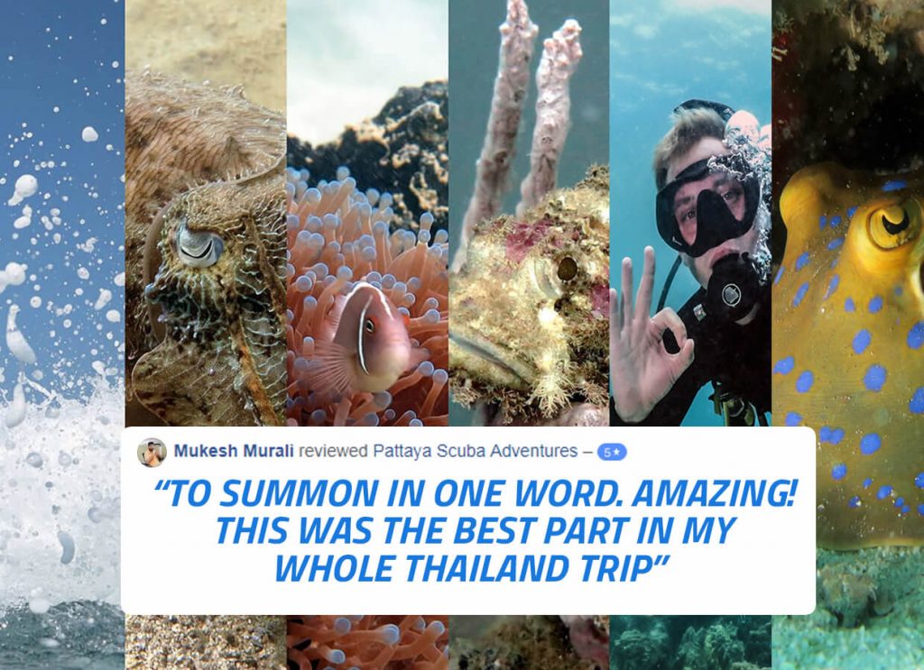 Best experience scuba diving Pattaya Thailand