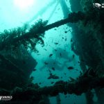 HTMS Mattaphon Wreck Diving In Thailand