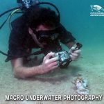 UW Photography Course Macro Diving