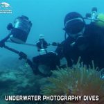UW Photography Private Guided Dives