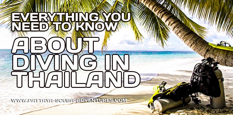 Everything To Know About Scuba Diving in Thailand