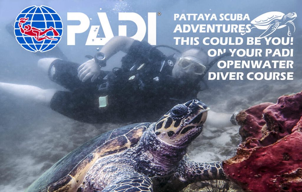Learn To Dive Thailand PADI Courses Diver Training