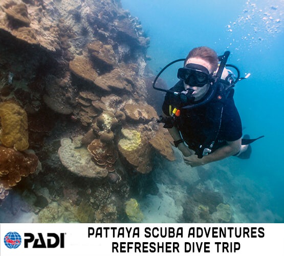 PADI Refresher Dive Trip Scuba-Review Pattaya Thailand Diving