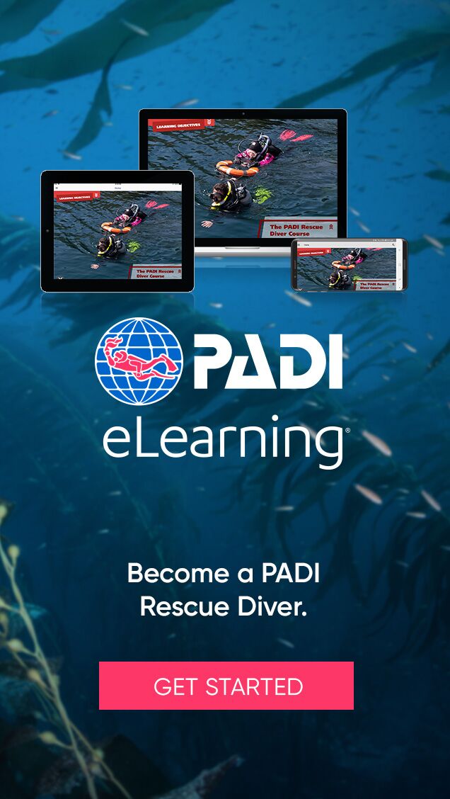 PADI Online Rescue Diver Course Scuba Diving eLearning Rescue Diver OnLine Class 