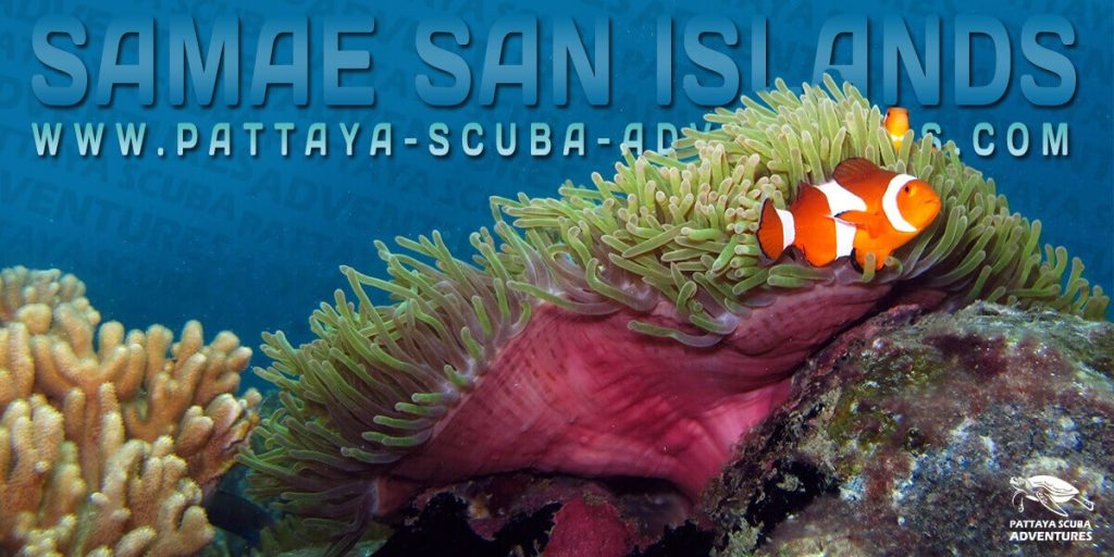 Samae San Islands Dive Sites Thailand