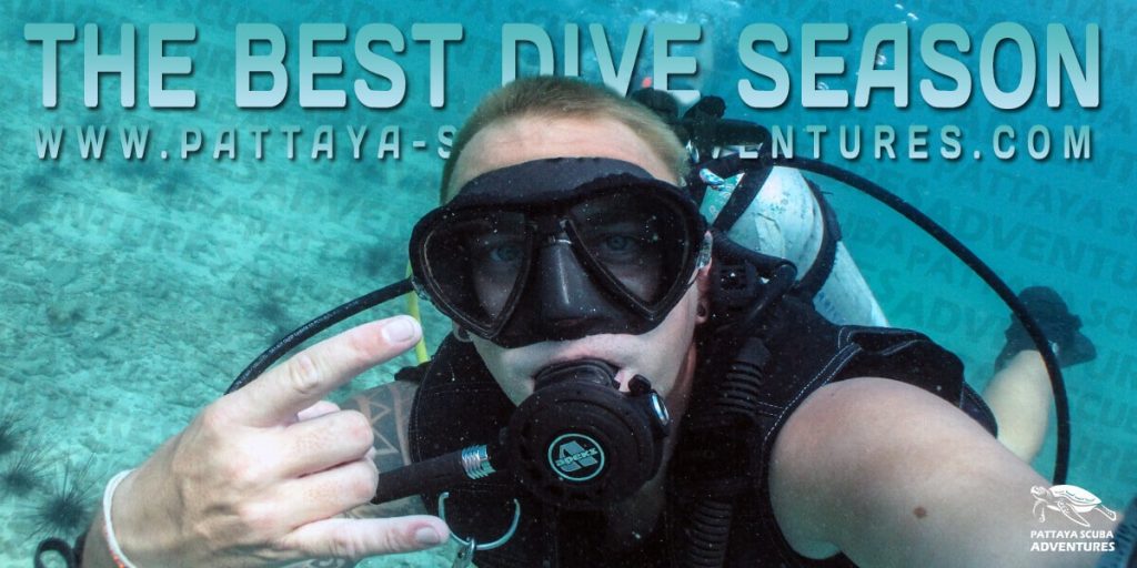 Thailand best season for diving Pattaya