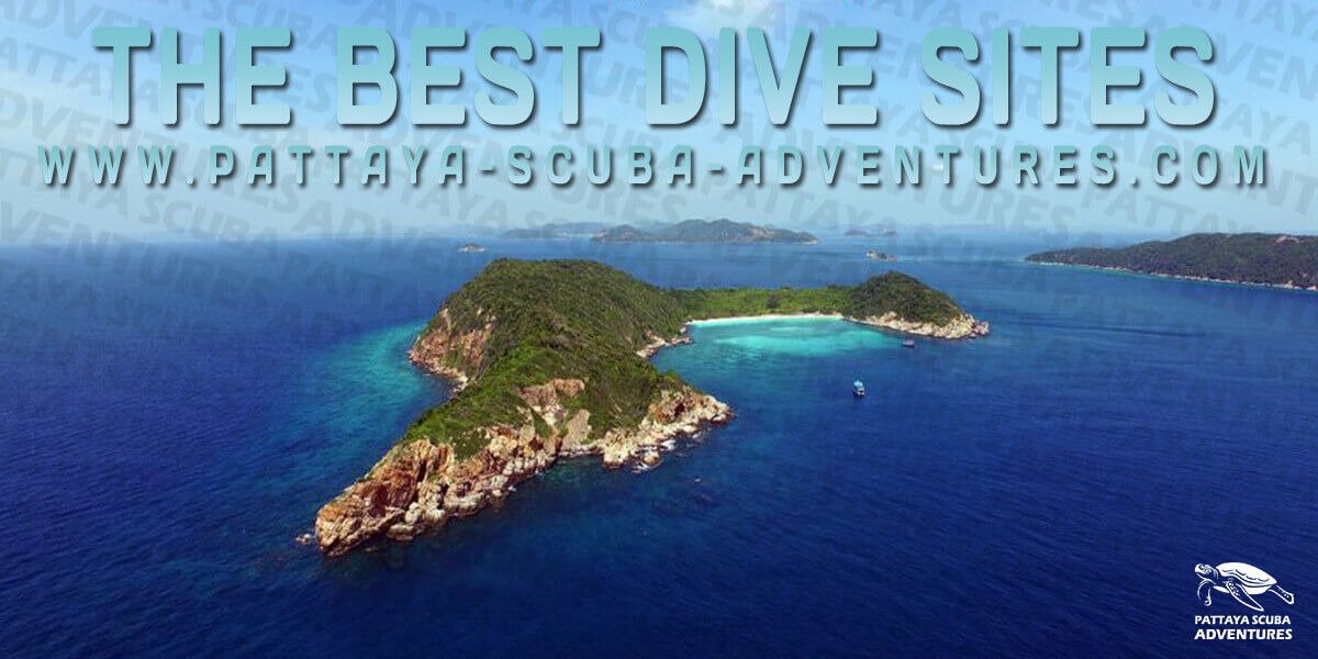 Best Pattaya Dive Sites Thailand