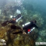 Sidemount diving Pattaya Thailand