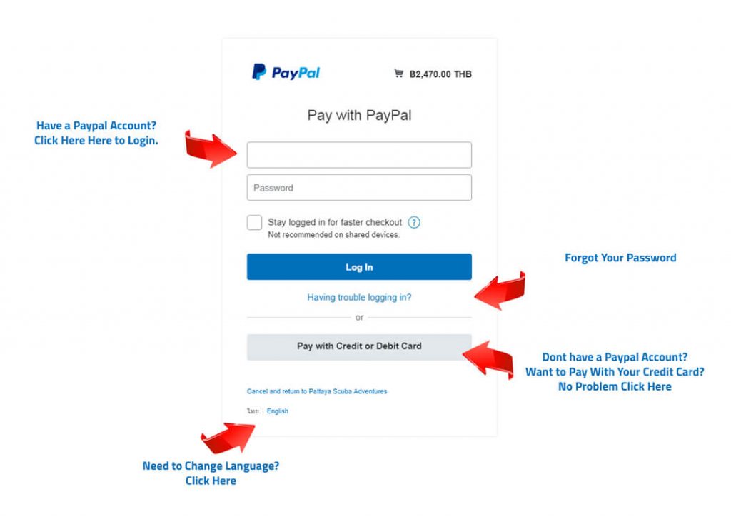 Paying Online PAYPAL Check Out Page