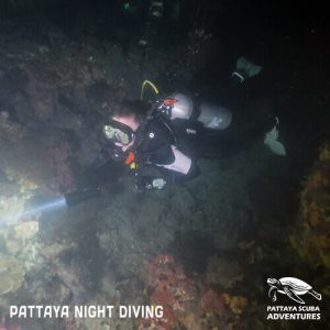 Night Diving Pattaya Thailand