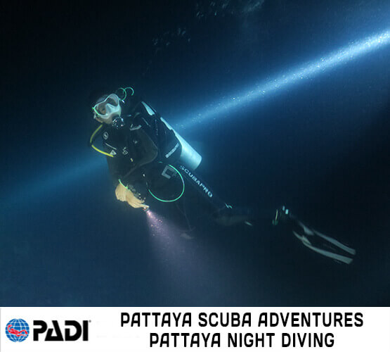 Pattaya Night Diving Scuba Trips