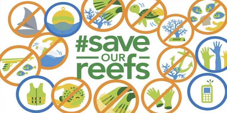 Save The Reefs Green Fins Dive Centre Pattaya Thailand