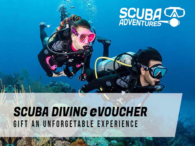 Scuba Diving Voucher