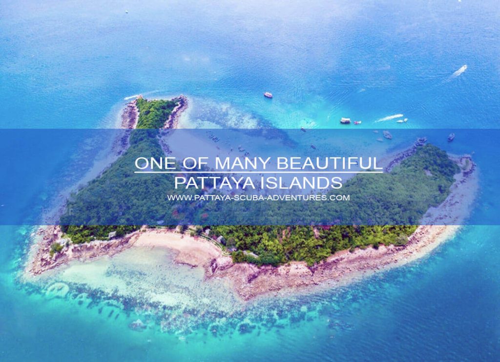 Diving and Snorkeling Pattaya Islands