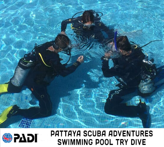 Swimming Pool Try Dive Pattaya Scuba