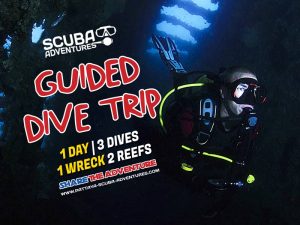 Guided Diving Trip Pattaya wreck and coral