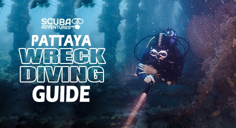 Pattaya Wreck Diving Guide Thailand