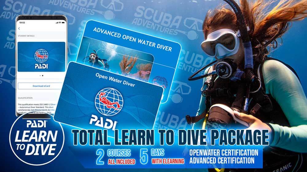 PADI Learn to Dive Thailand Pattaya Dive Course Package Special