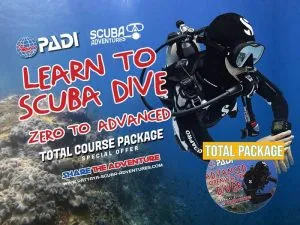 PADI Learn to dive Package Openwater-Advanced Diving Thailand