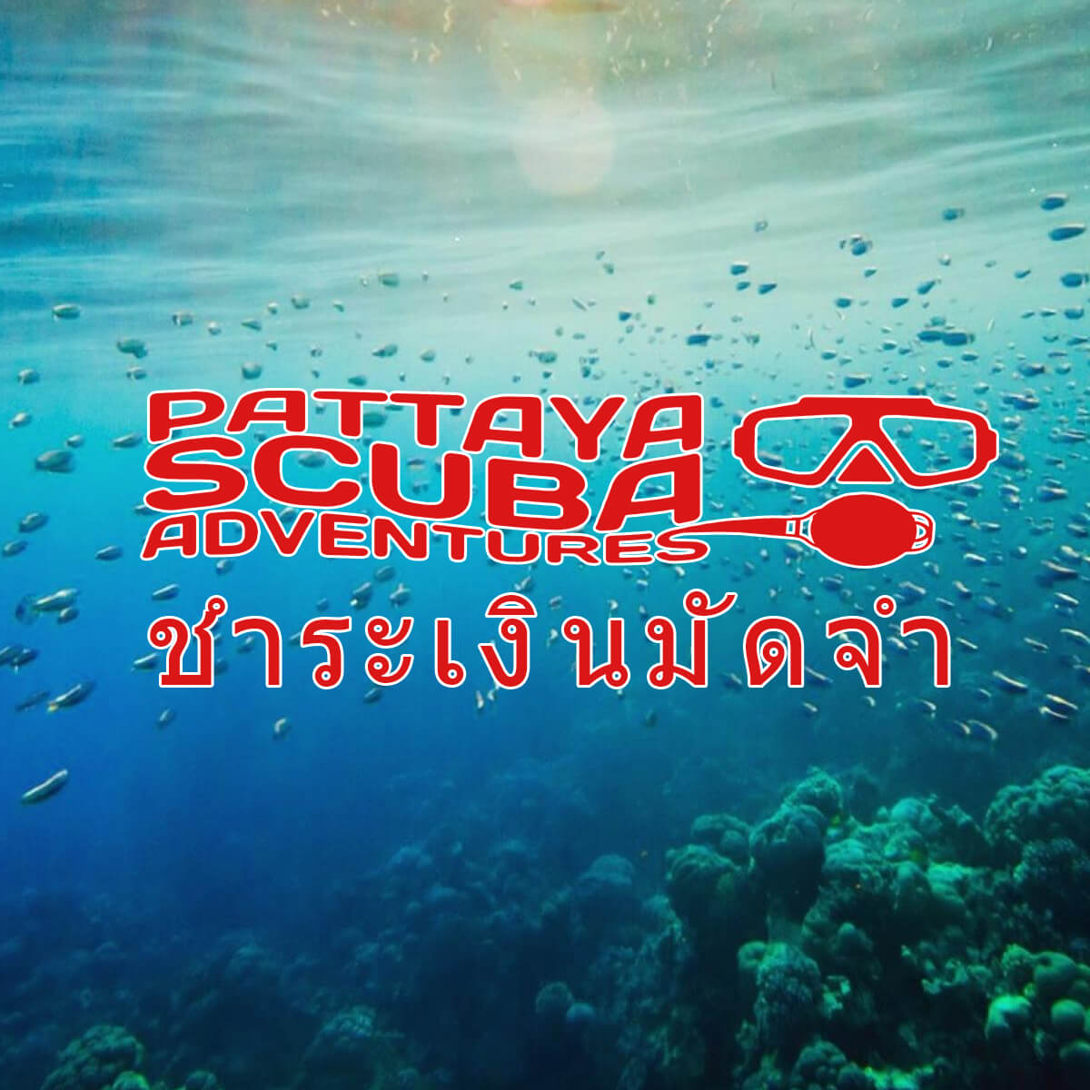 ชำระเงินมัดจำ-Pattaya-scuba-adventures.com