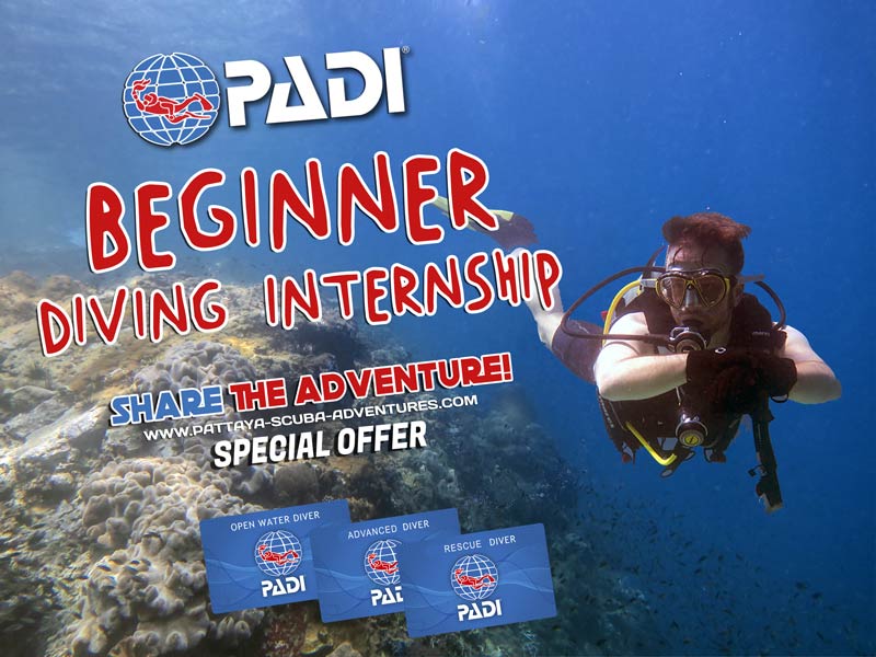 Beginner Diving Internships in Pattaya Thailand