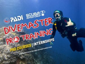 PADI Divemaster Courses Thailand Pattaya Scuba Adventures